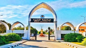 تعليق رسمي.. جامعة المنيا ترد على قضية حمل طالبة من معيد بطريقة غير شرعية وتفاصيل جديدة تكشف أولى ردود الفعل